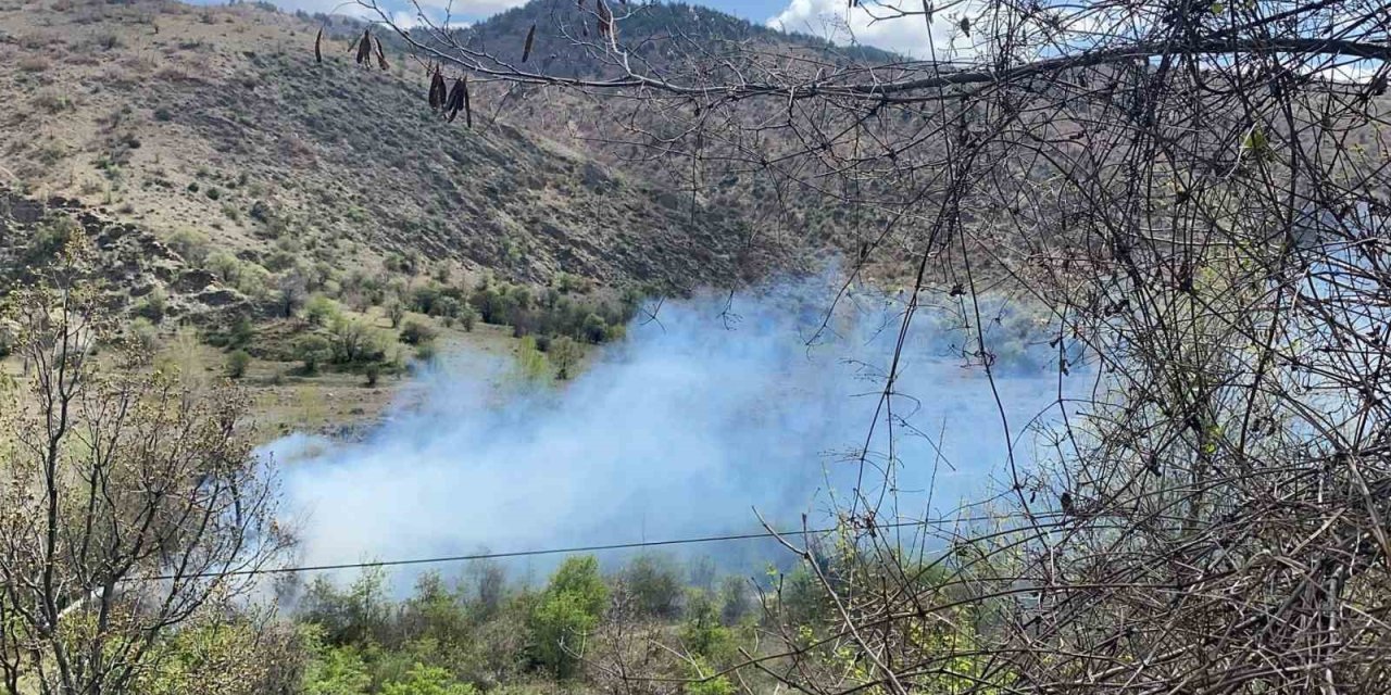 Çankırı’da Orman Yangını