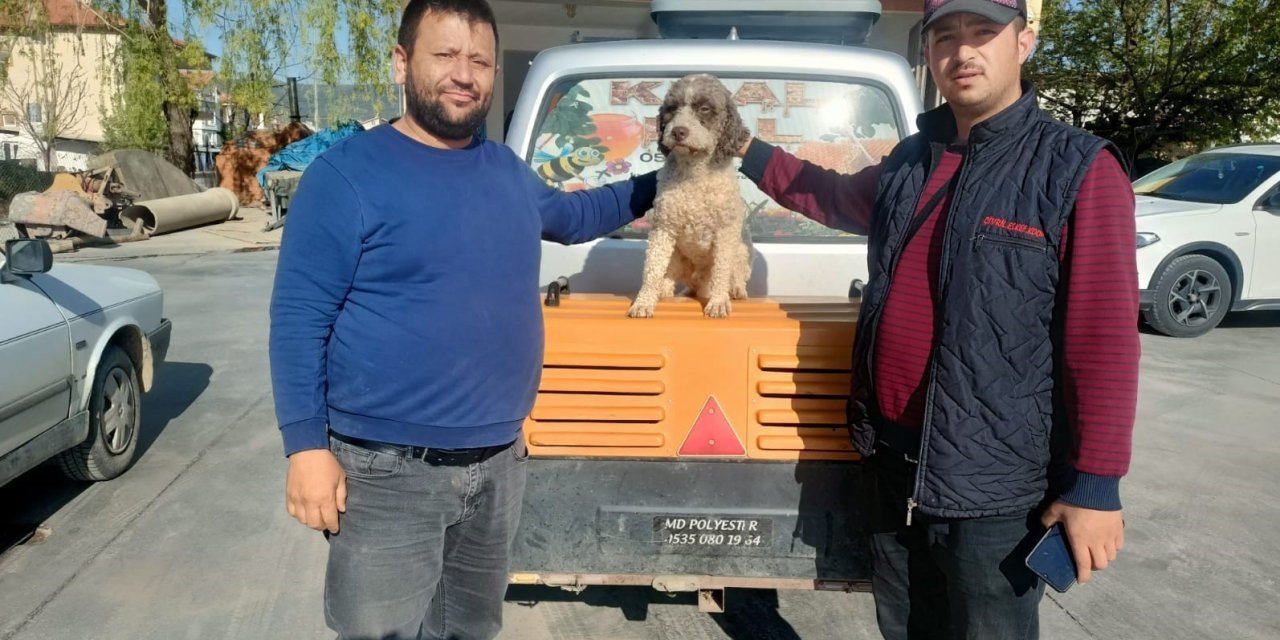 Uşak’ta Kaybolan Trüf Mantarı Avcısı ‘Radar’ Bulundu