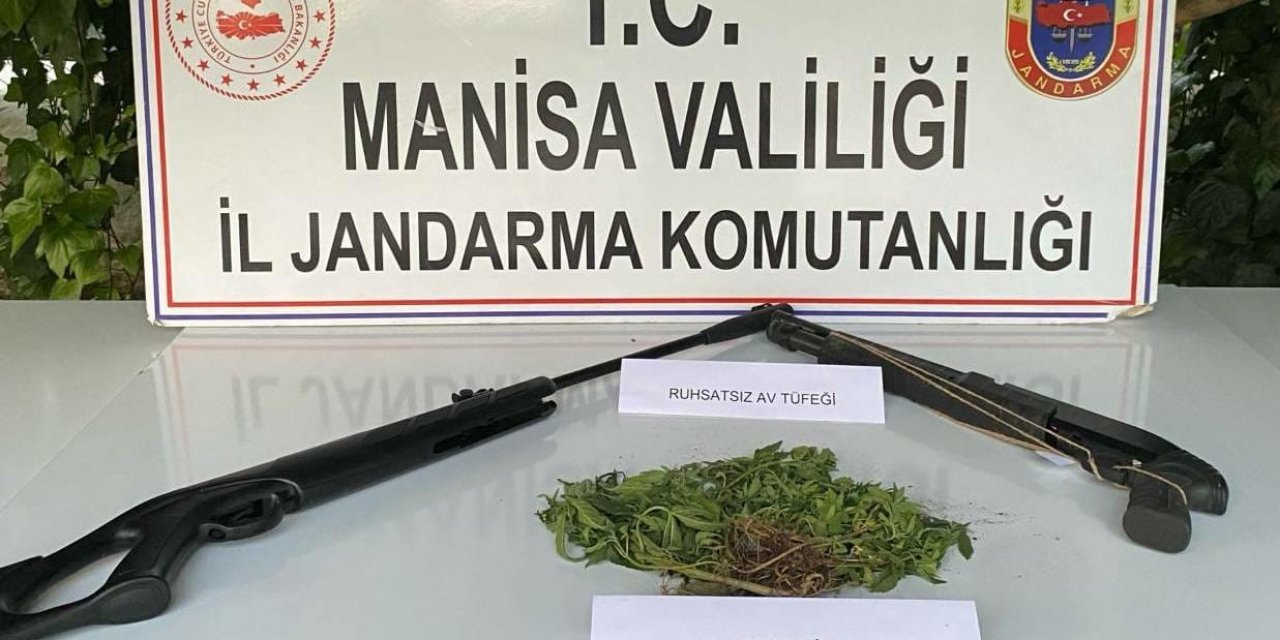 Sarıgöl’de Hint Keneviri Yetiştiren 3 Kişi Yakalandı