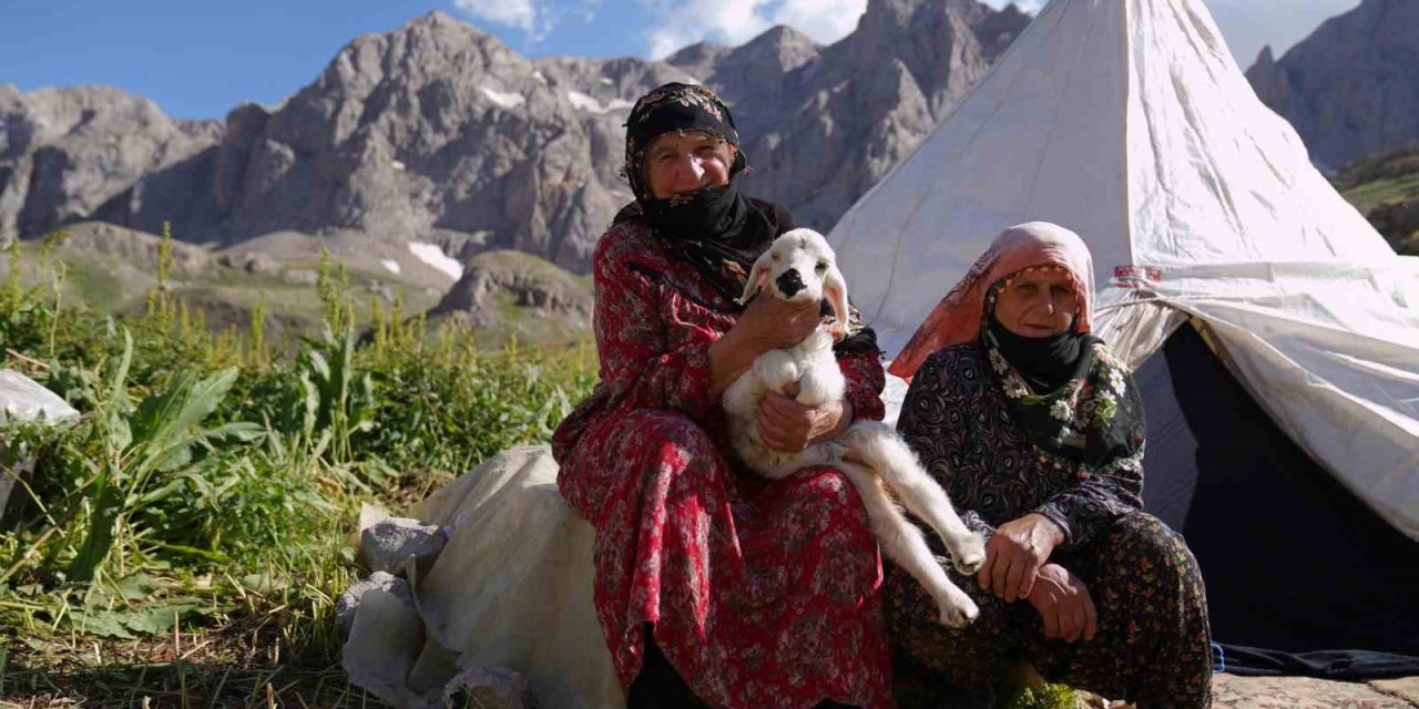 Havalar Isındı, Meralar Şenlendi