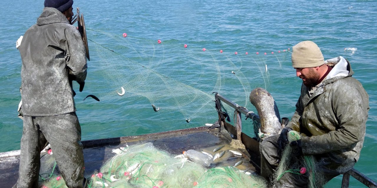 İnci Kefali İçin 3 Aylık Av Yasağı Başladı