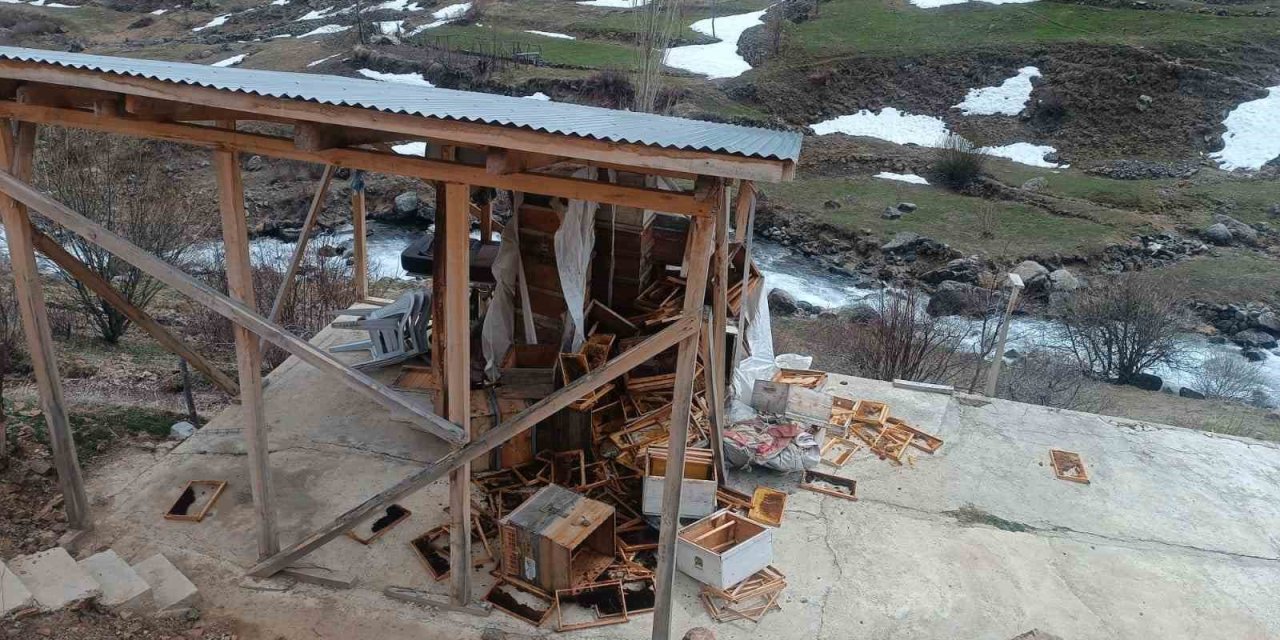Ayılar Arıcılara Ait Malzemeleri Kullanılamaz Hale Getirdi