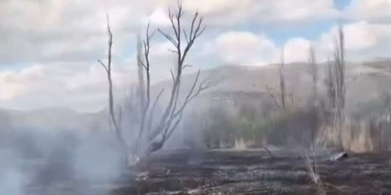 Çankırı’da Arazi Yangını