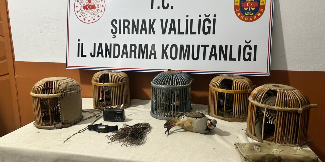 Şırnak’ta Keklik Avcılarına 67 Bin Lira Ceza