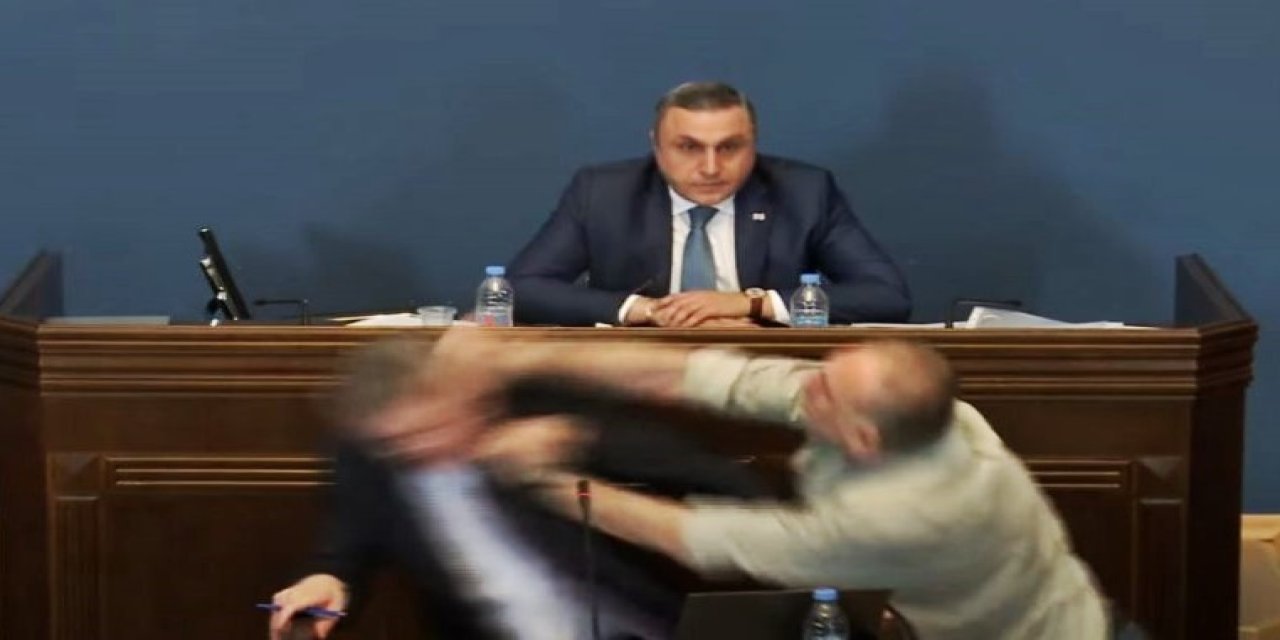 Gürcistan Parlamentosunda Yumruklu Kavga
