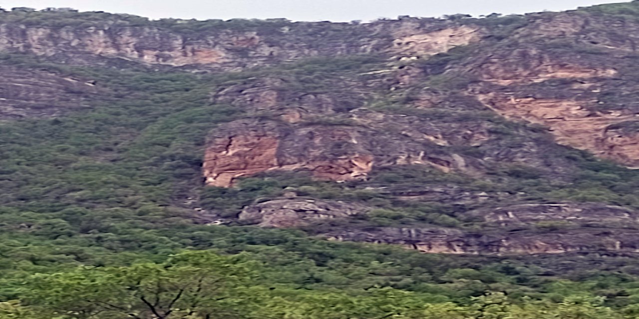 Ot Toplarken 150 Metreden Kayalıklara Düşüp Öldü