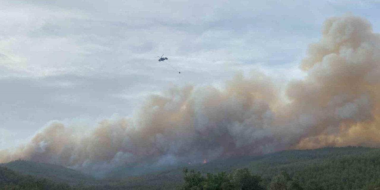 Çanakkale Valiliğinden Orman Yangınlarına Karşı Uyarı