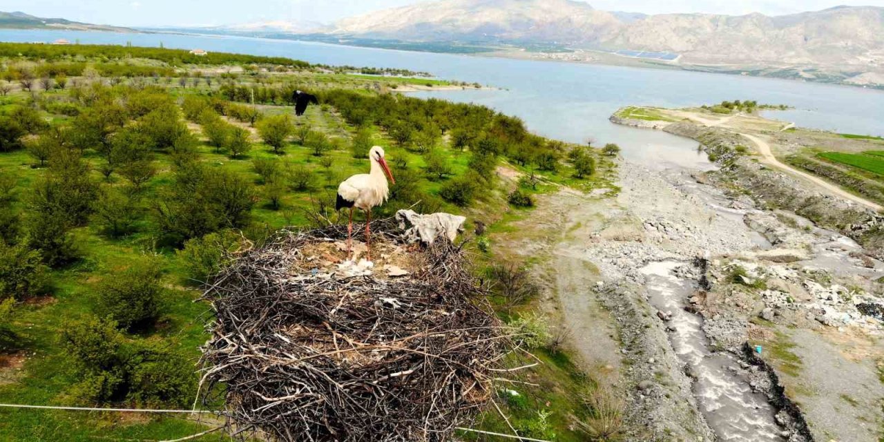 Leylekler Kale İlçesini Mekan Tuttu