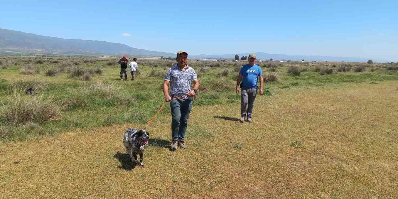 Fermalı Av Köpekleri 3’üncü Kez Yarıştı