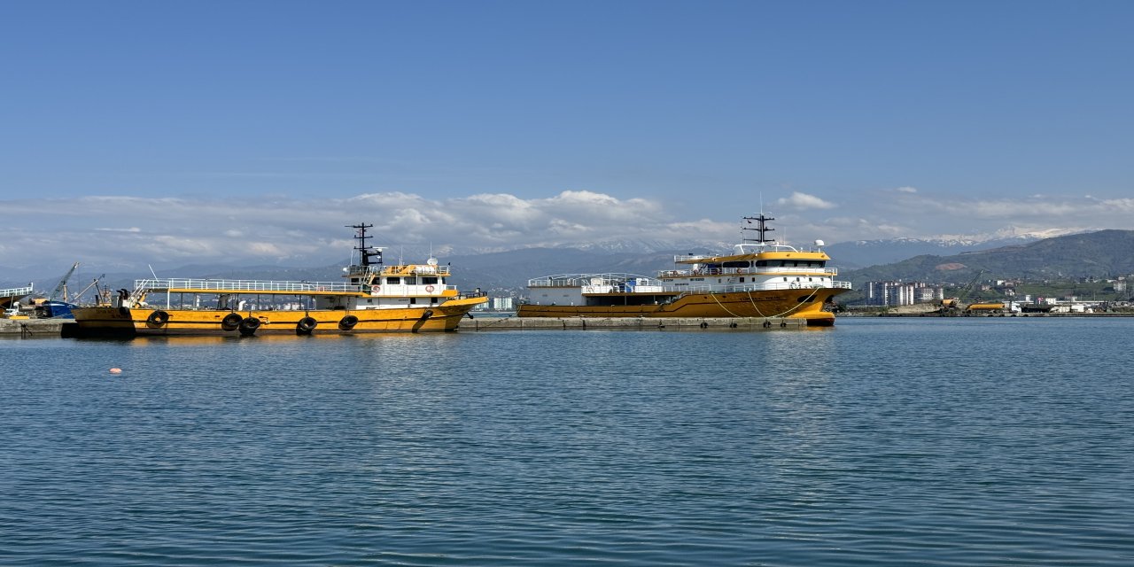 Karadenizli balıkçıları palamut üzdü, hamsi sevindirdi