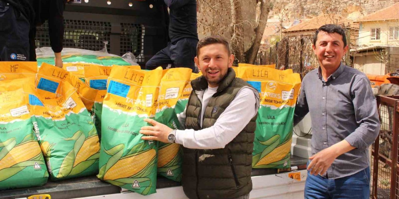 Büyükşehir Belediyesi’nden Silajlık Mısır Tohumu Desteği