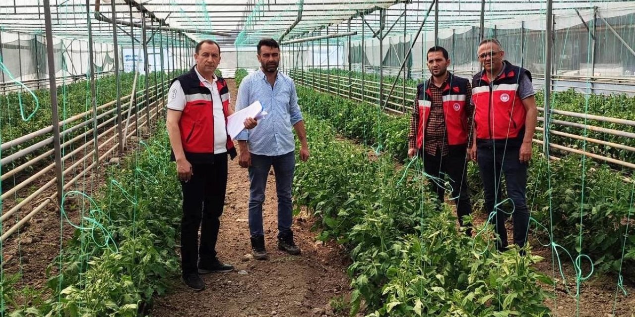 Simav’da Yeni Seraların Tespitleri Ve Ürün Kontrolleri