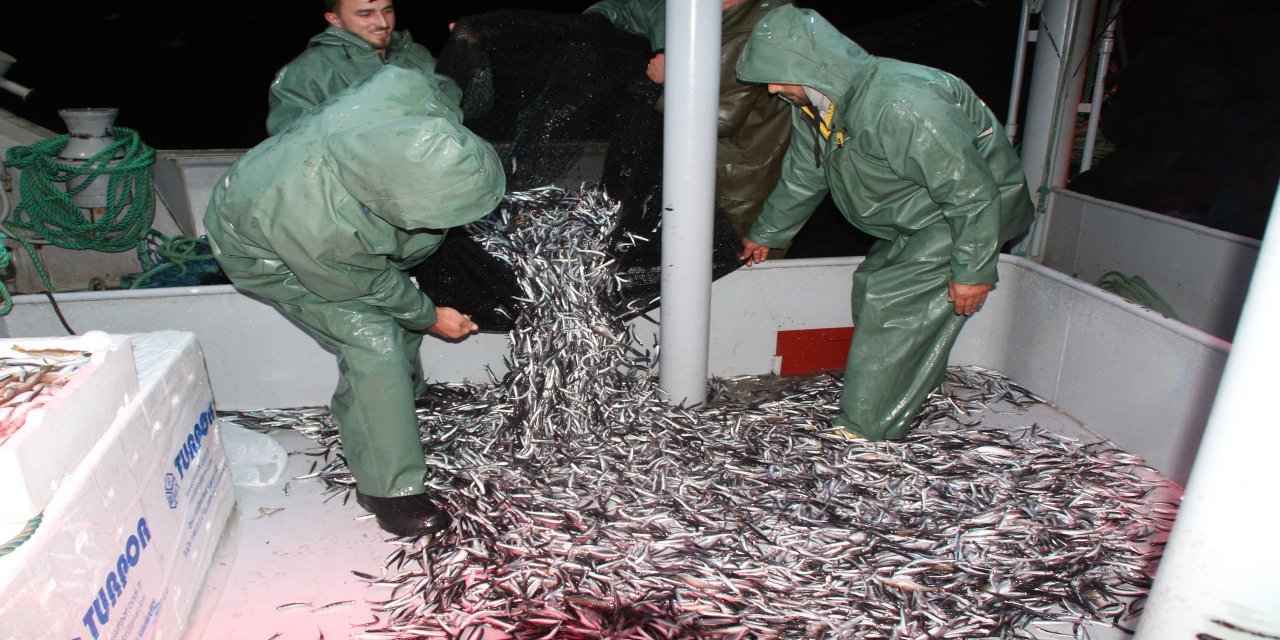 Trabzon’da sezonda yasal boy sınırı altında avlanan 20 ton hamsiye el konuldu