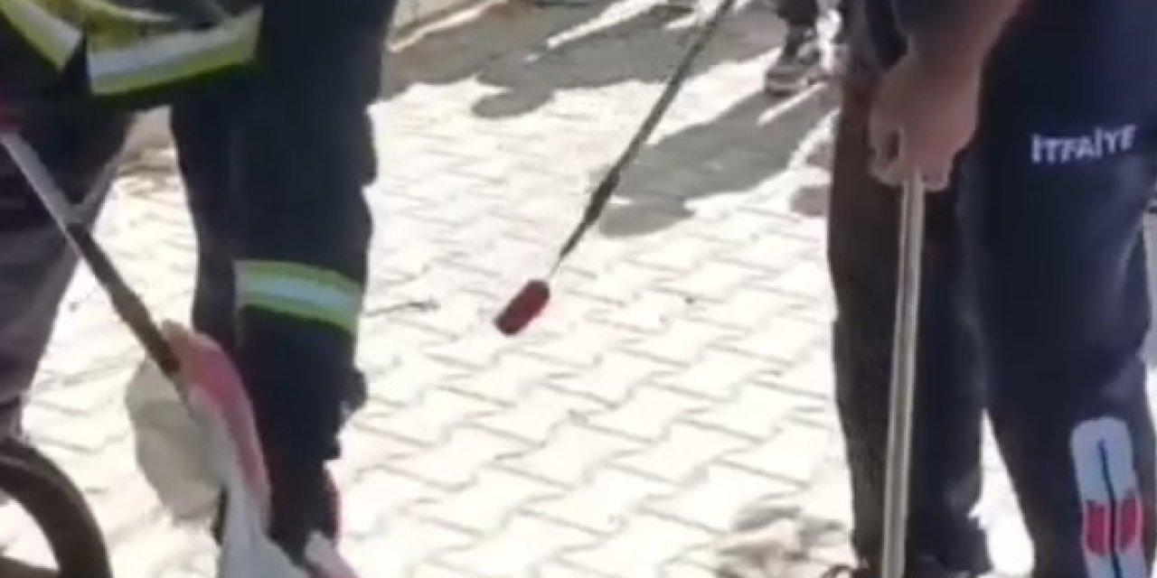 Okul Bahçesindeki Yılanı İtfaiye Ekipleri Yakaladı