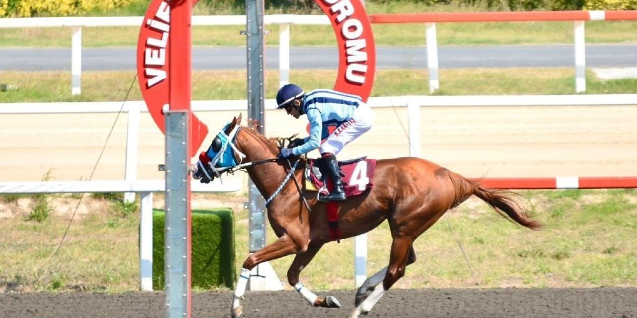 Veliefendi Hipodromu’nda Yarış Şöleni Başlıyor