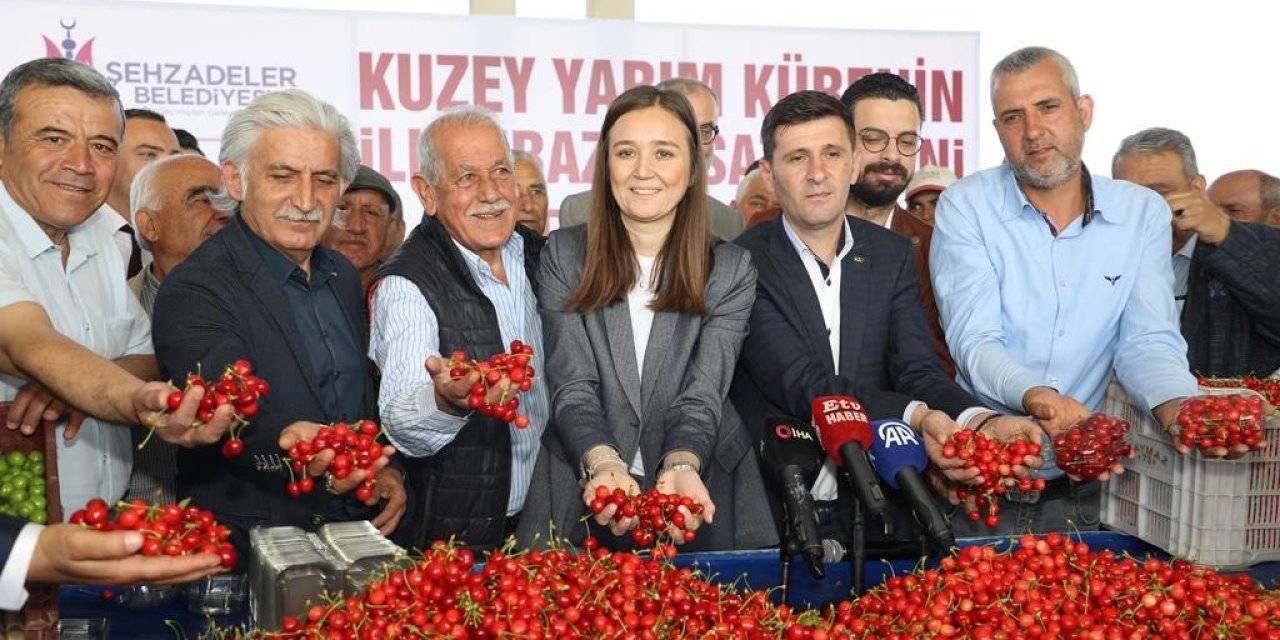 Kuzey Yarımkürenin İlk Kirazının Hasat Edildiği Manisa’da Üretici Umutlu