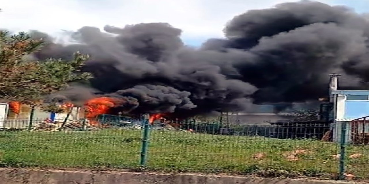 Konteynerde Çıkan Yangın Korkuttu