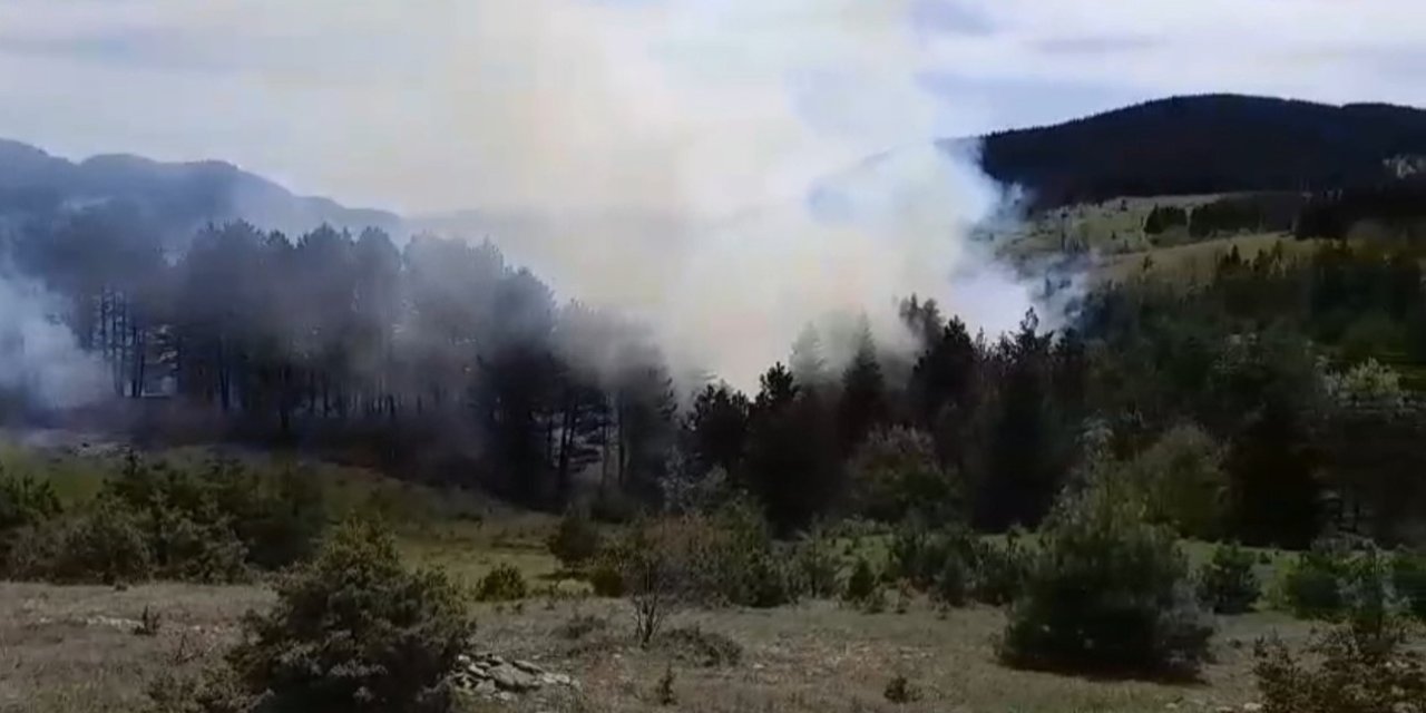 Sinop’ta Korkutan Orman Yangını