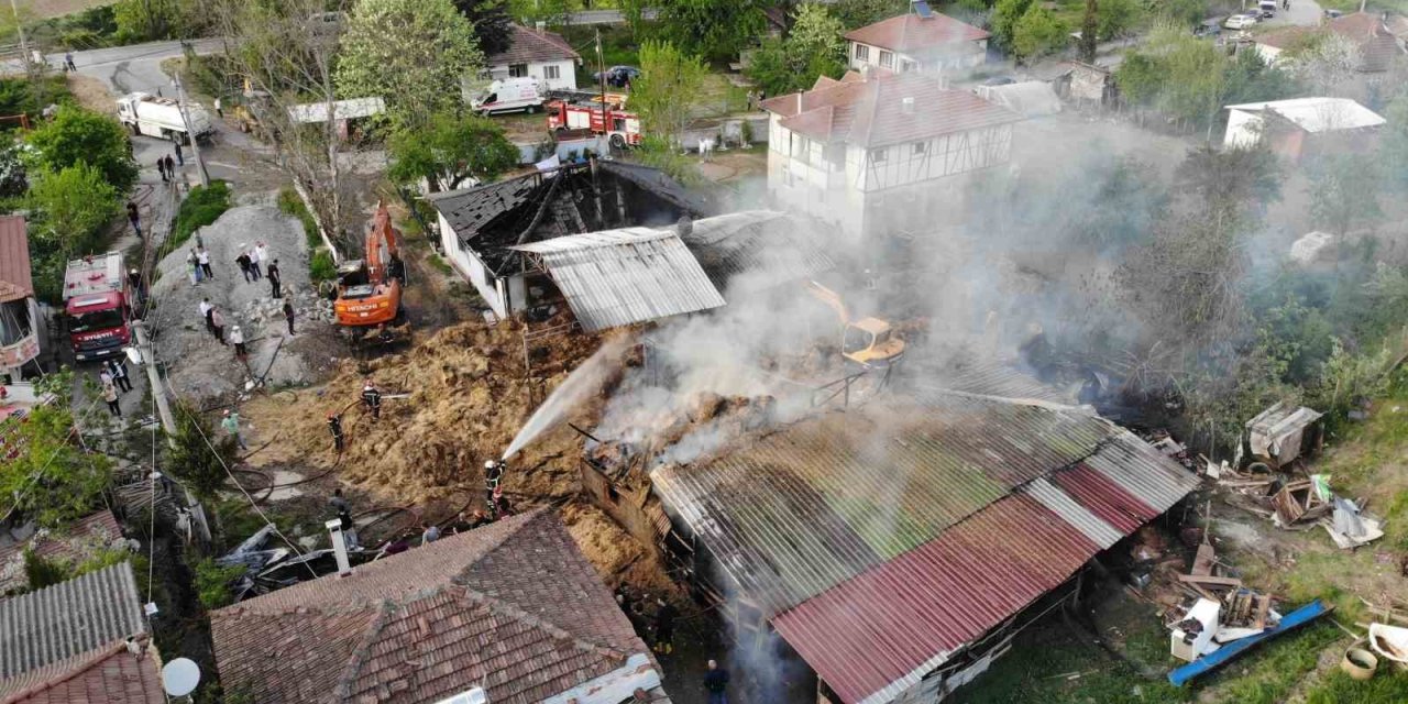 Besi Çiftliğinde Yangın: Çok Sayıda Kurbanlık Büyükbaş Telef Oldu, 1 Kişi Dumandan Etkilendi