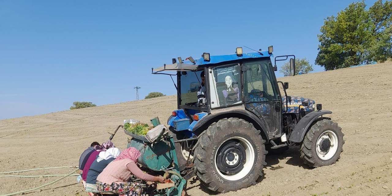 Selendi’de Tütün Dikimleri Başladı