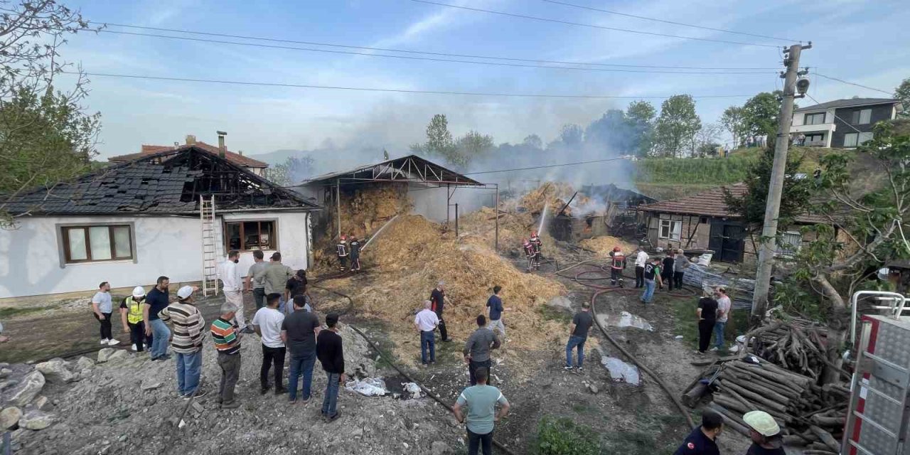Ahırda Başlayan Yangın Besi Çiftliğini Kül Etti: 25 Büyükbaş Telef Oldu