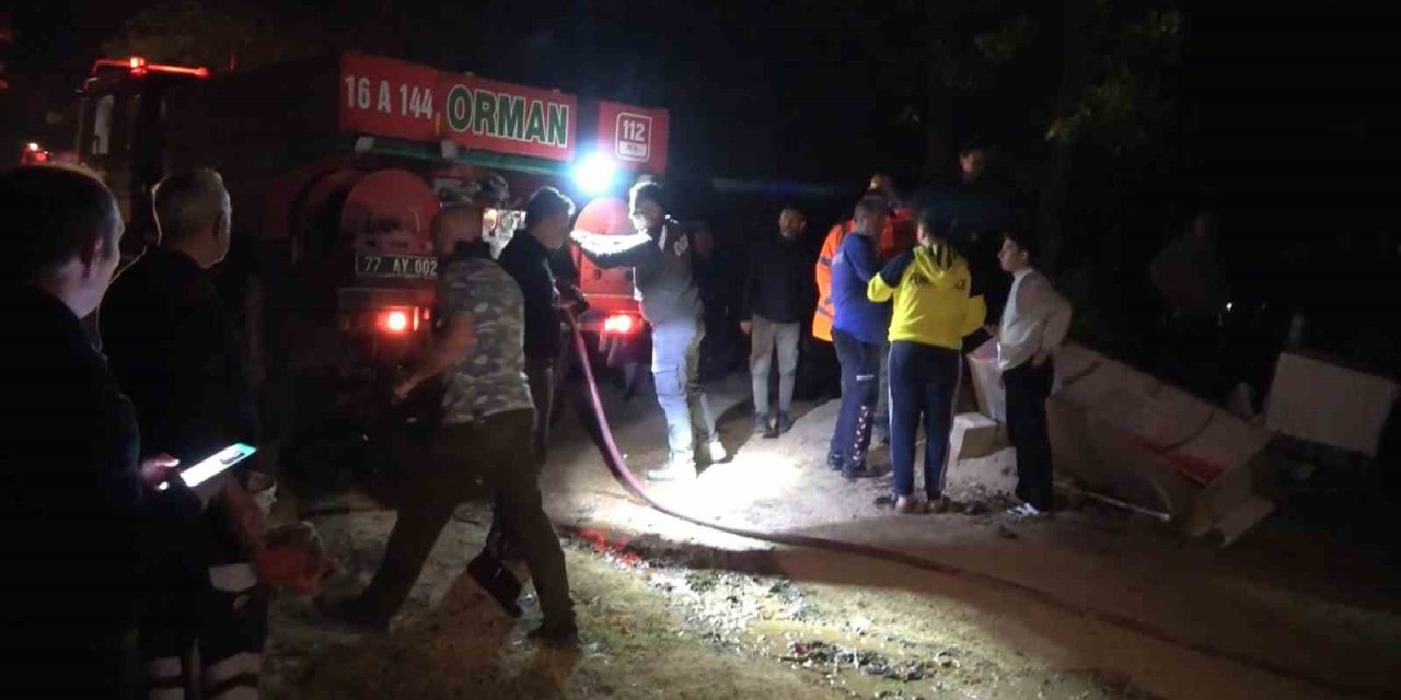 Yalova’da Orman Yangını