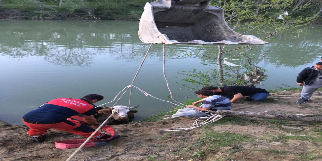 Irmakta sürüklenen ineği, itfaiye ve AFAD kurtardı