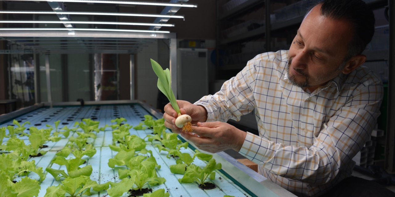 5 Kıtadan Bilim İnsanlarıyla 'Akuaponik' Yöntemiyle Yetiştiriciliği Yaygınlaştırmak İçin Çalışıyorlar