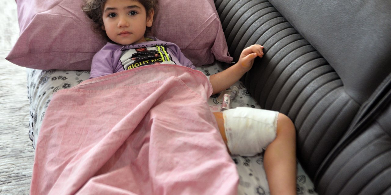 Köpek Saldırısında Yaralanan Asel Taburcu Oldu: Çok Korktum, Canımı Acıttı