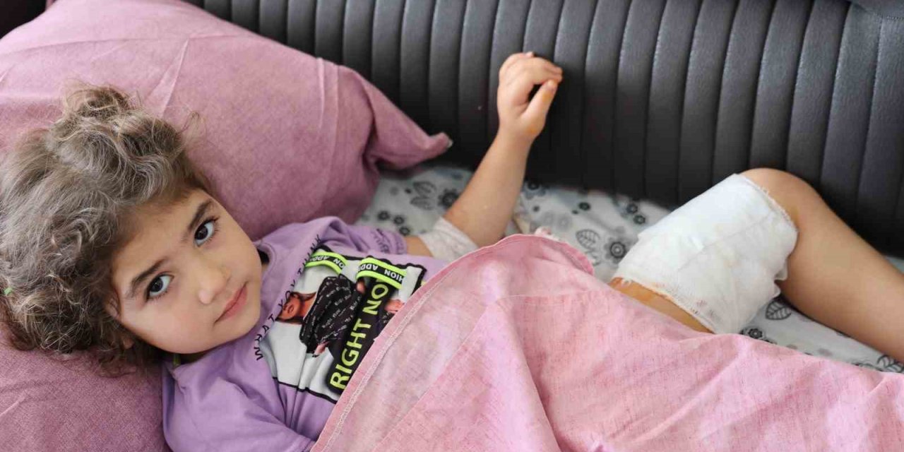 Köpeğin Isırdığı Kız Çocuğu: "Köpek De Sahibi De Tutuklansın"