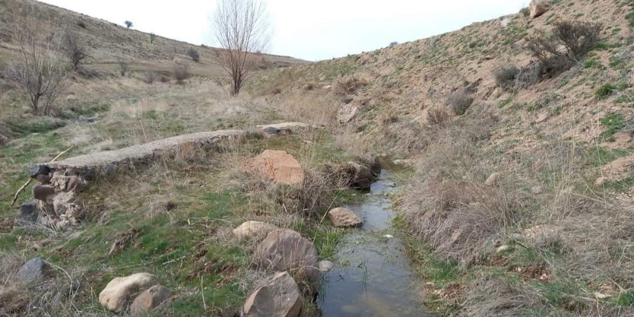 Develili Bağcılardan Vali’ye Mektup