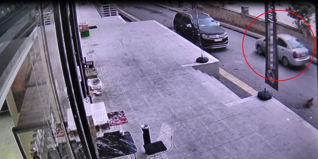 Sokak Kedisini Ezip Kaçan Sürücüye 7 Bin 216 Lira Ceza