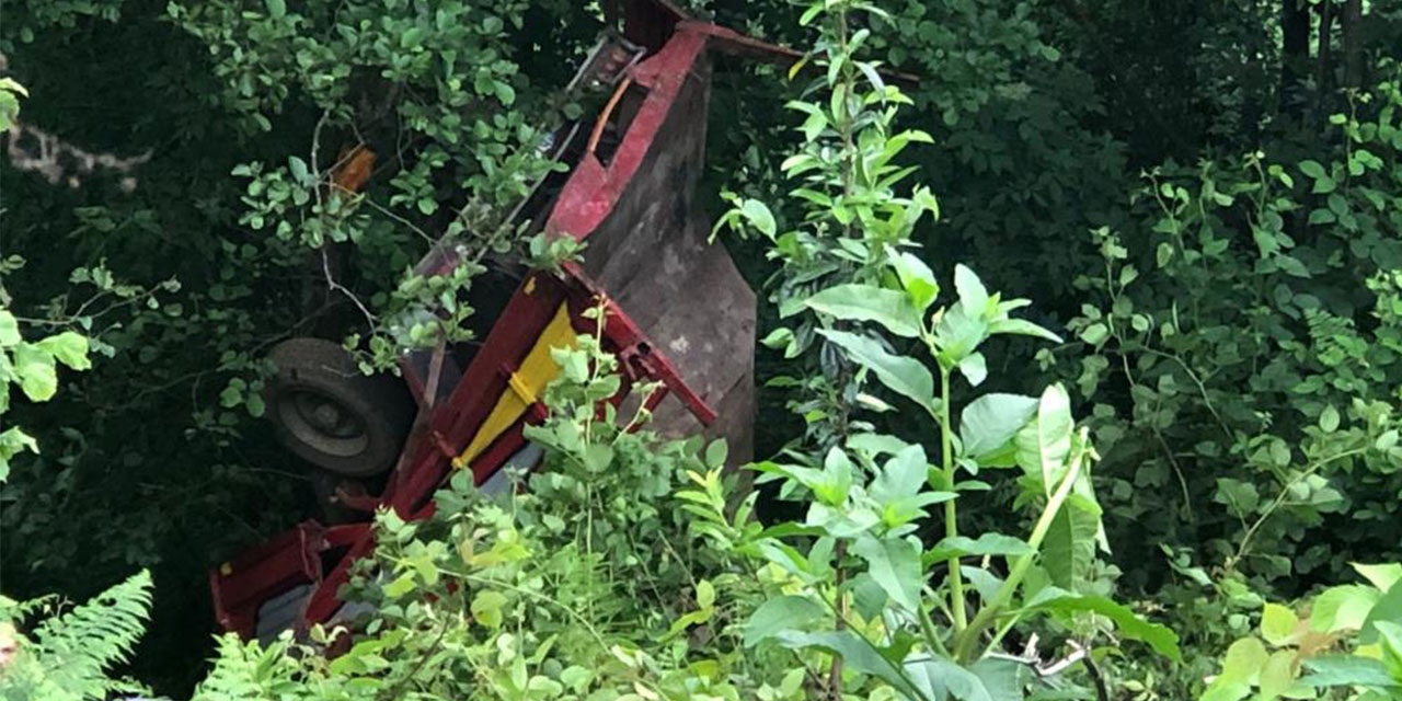 Rize'de şarampole yuvarlanan kamyon ağaçta asılı kaldı: 1 yaralı