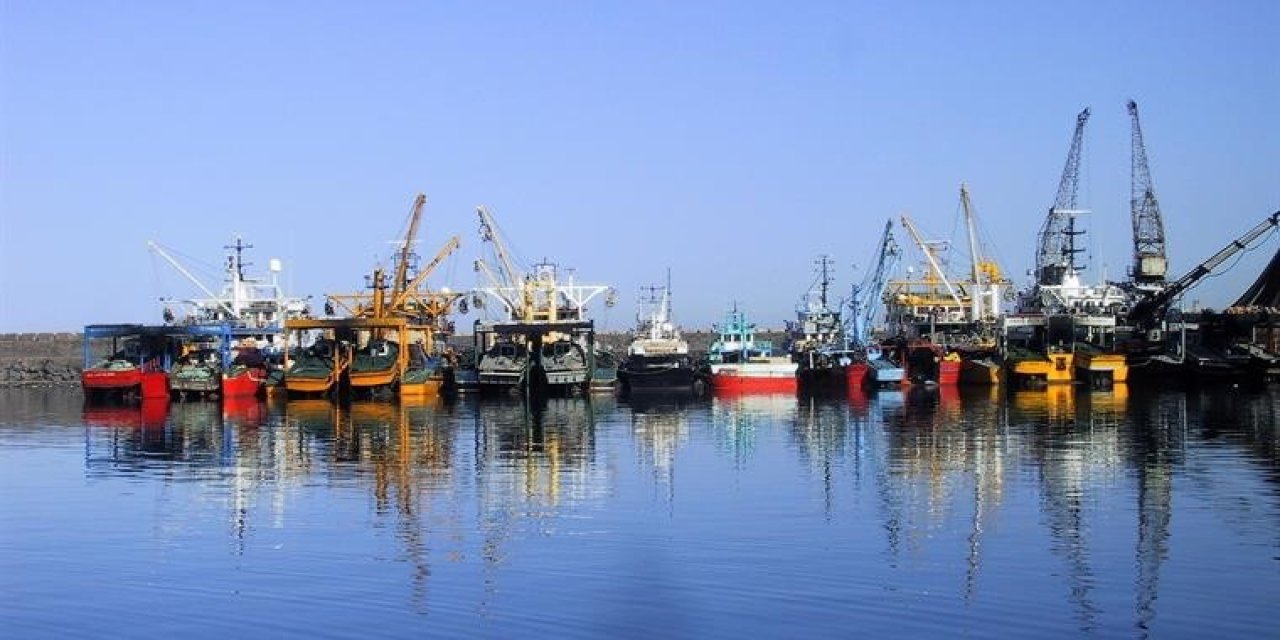 Hamdi Arslan: "Balıkların Yumurtalaması İçin Göç Döneminde Avcılık Tümüyle Yasaklanmalı"