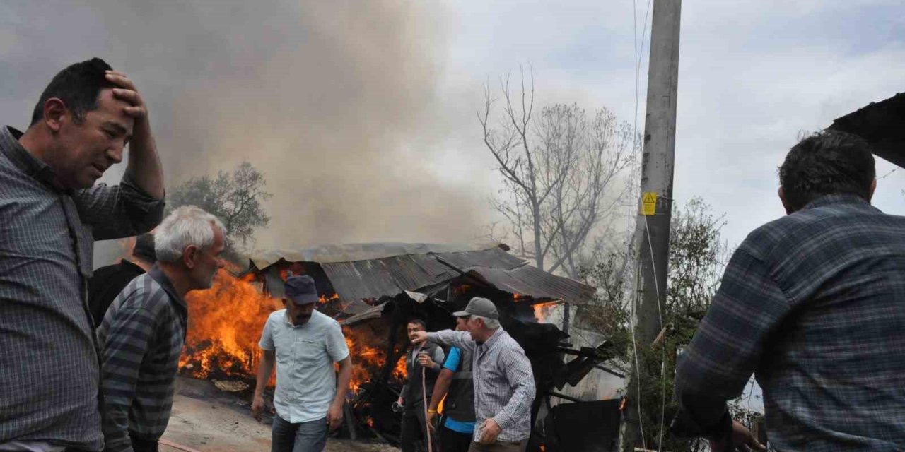 Gözü Gibi Baktığı Oğlağı Öldü Sandı