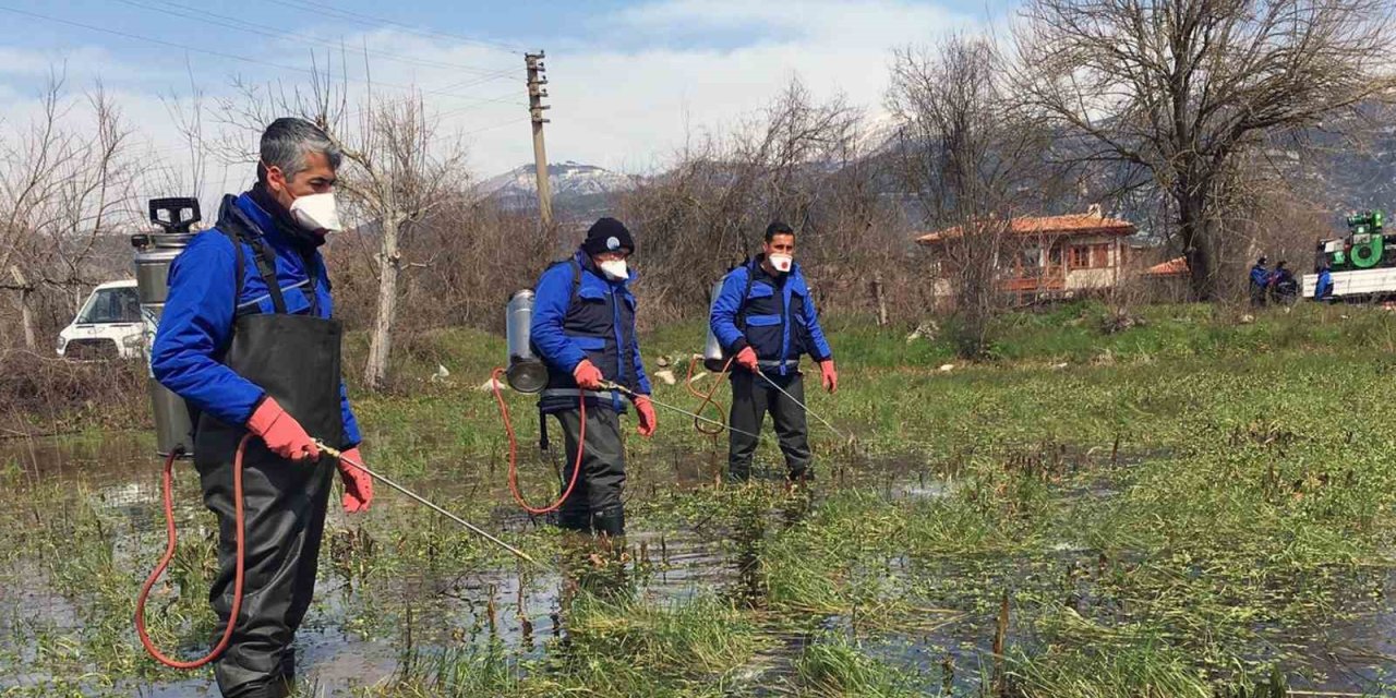 Vektörle Mücadele Devam Ediyor