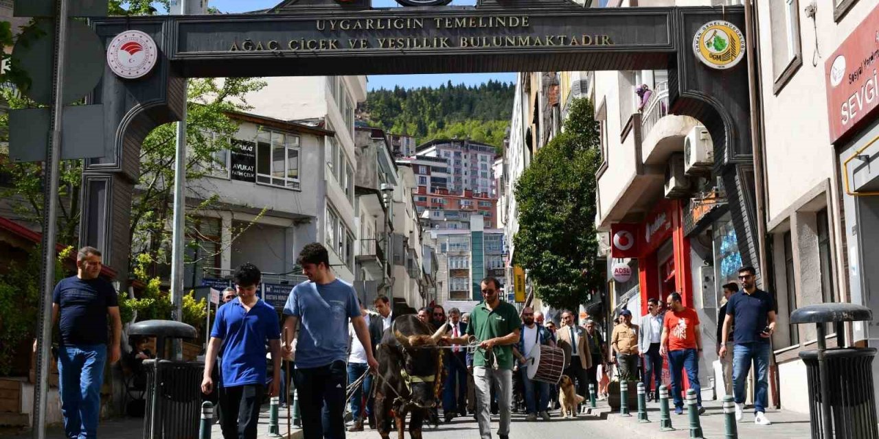 Artvin’de Turizm Haftası Boğalı Kortej Yürüyüşüyle Başladı