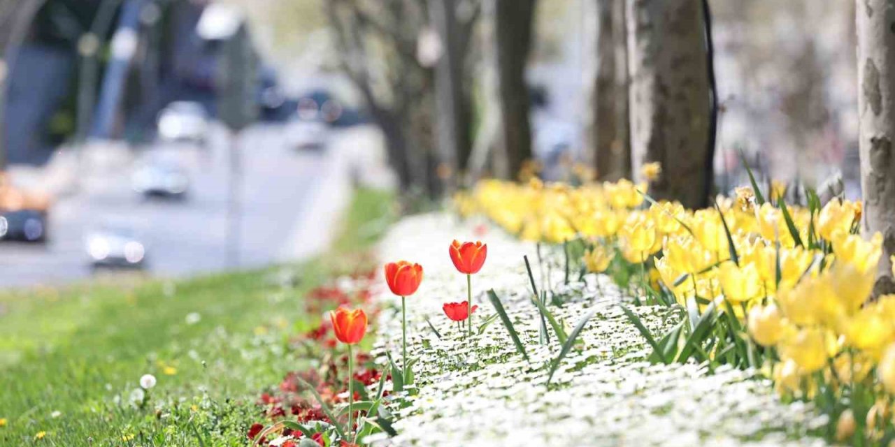 Sultangazi Cadde Ve Sokaklarına Bahar Geldi