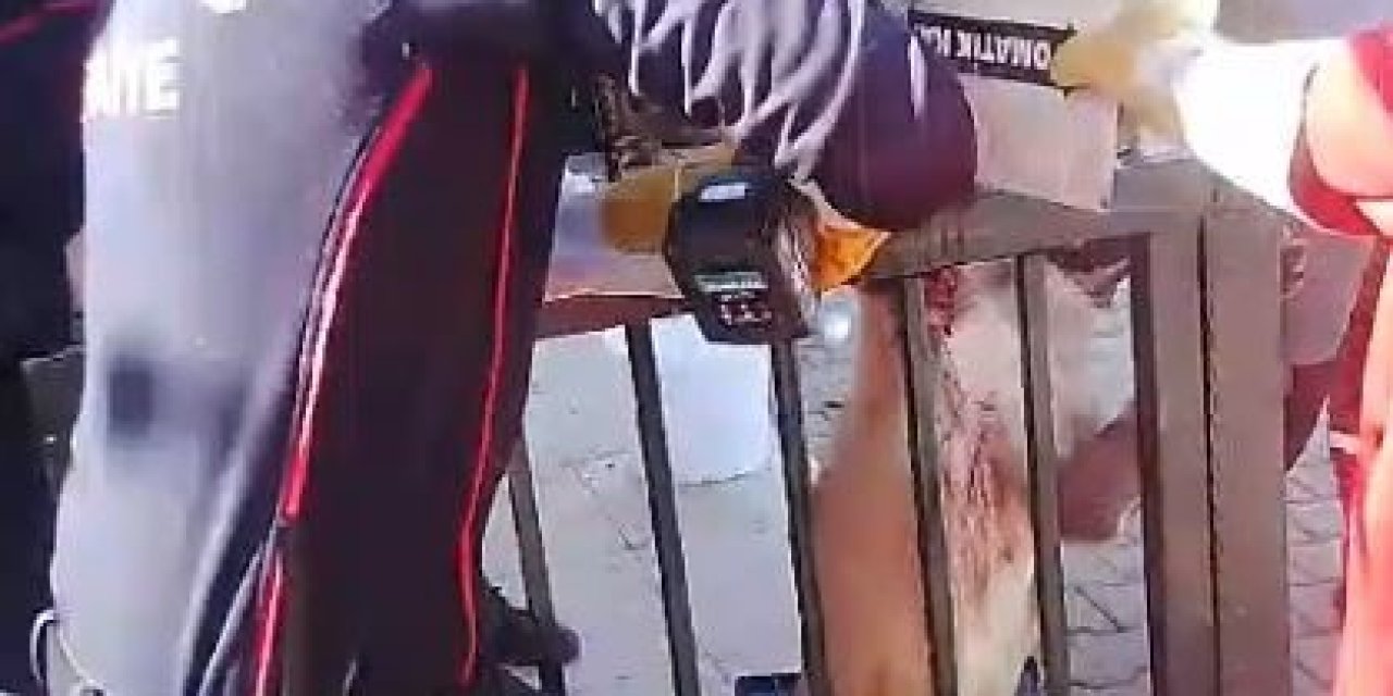 Ayağı Korkuluk Demirine Saplanan Köpeği İtfaiye Kurtardı