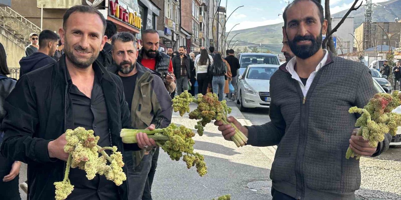 Yüksekova’da Yayla Muzunun Destesi 100 Tl’den Satışa Çıkarıldı