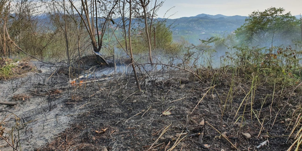 Giresun’da Örtü Yangını
