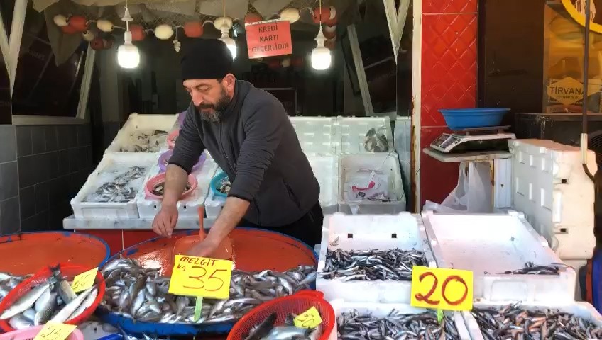 Rize’de Hamsi Kampanyası