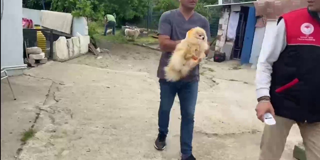 Edremit’te Jandarmadan Kaçak Hayvan Ticareti Yapılan Çiftliğe Operasyon