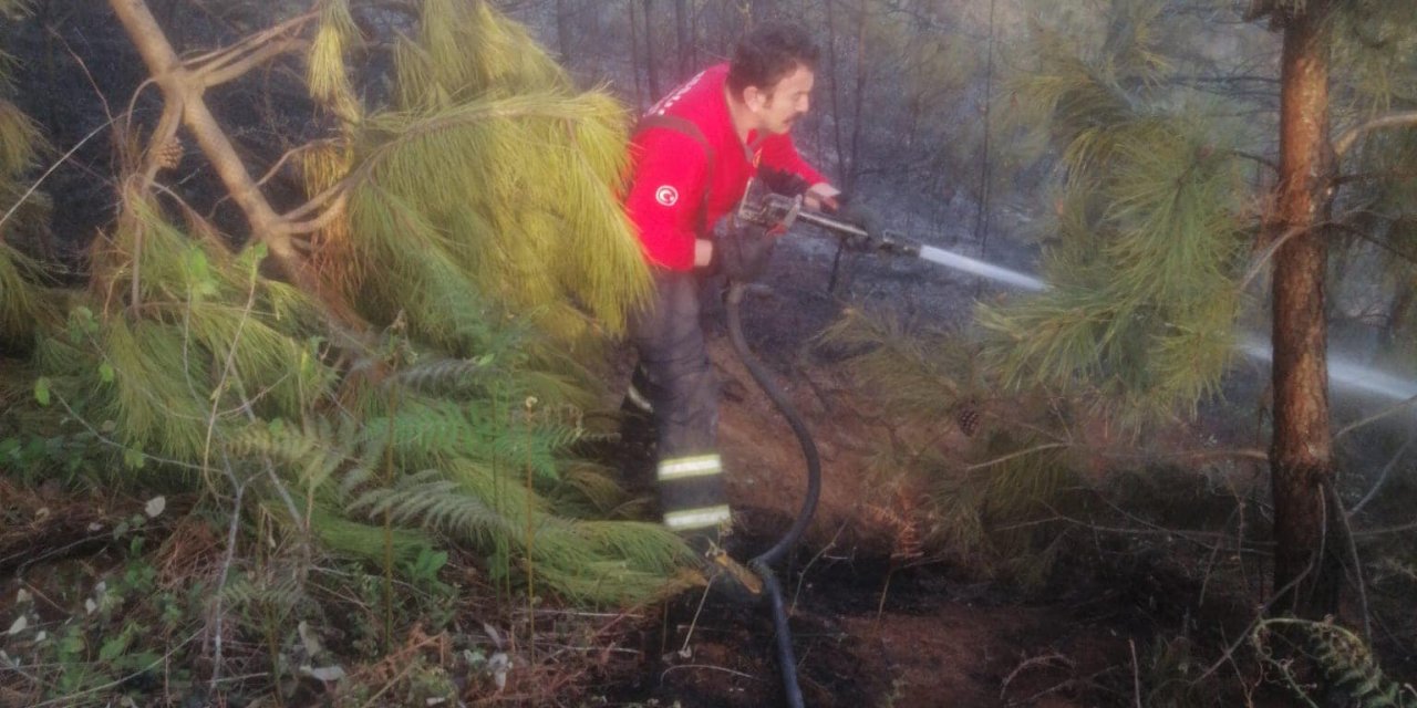 Giresun'da Örtü Yangını (2)