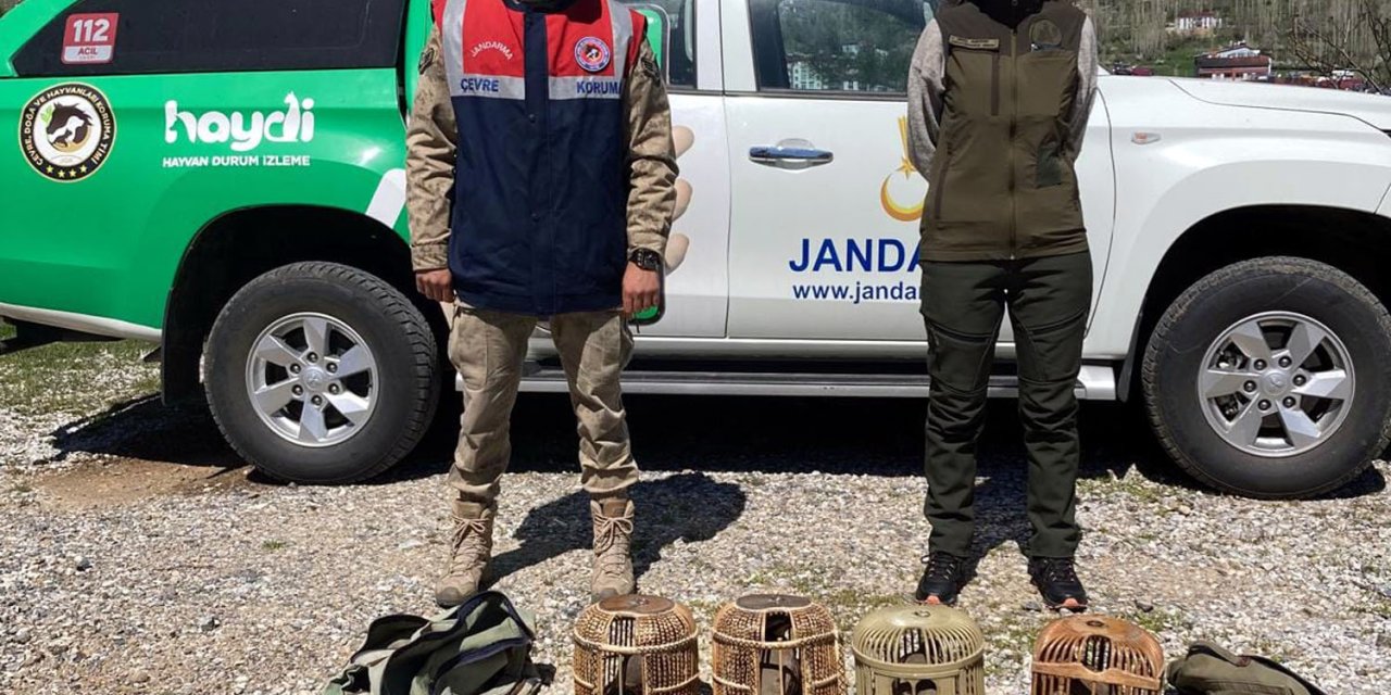 Bitlis'te Kaçak Keklik Avlayan 3 Kişiye 67 Bin 703 Tl Ceza
