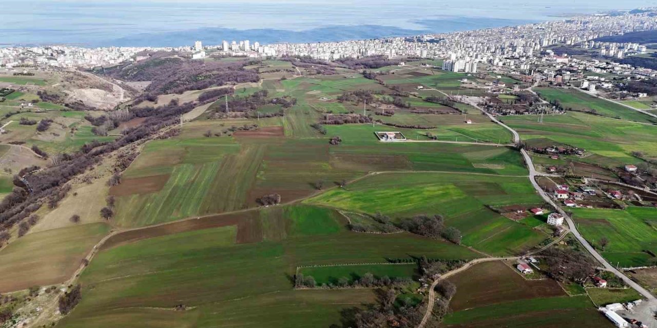Kentsel Dönüşüm Başkanlığı Samsun’da 314 Arsayı Satışa Çıkarıyor