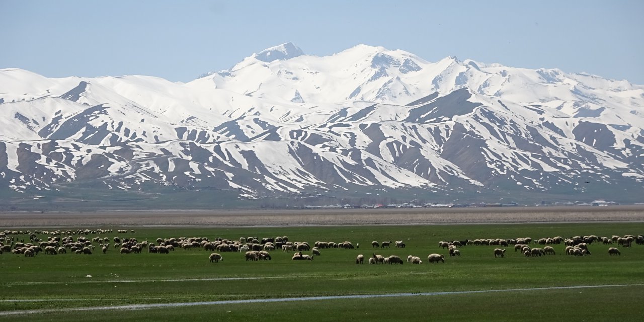 Hakkari'ye İran'dan 6 Çoban