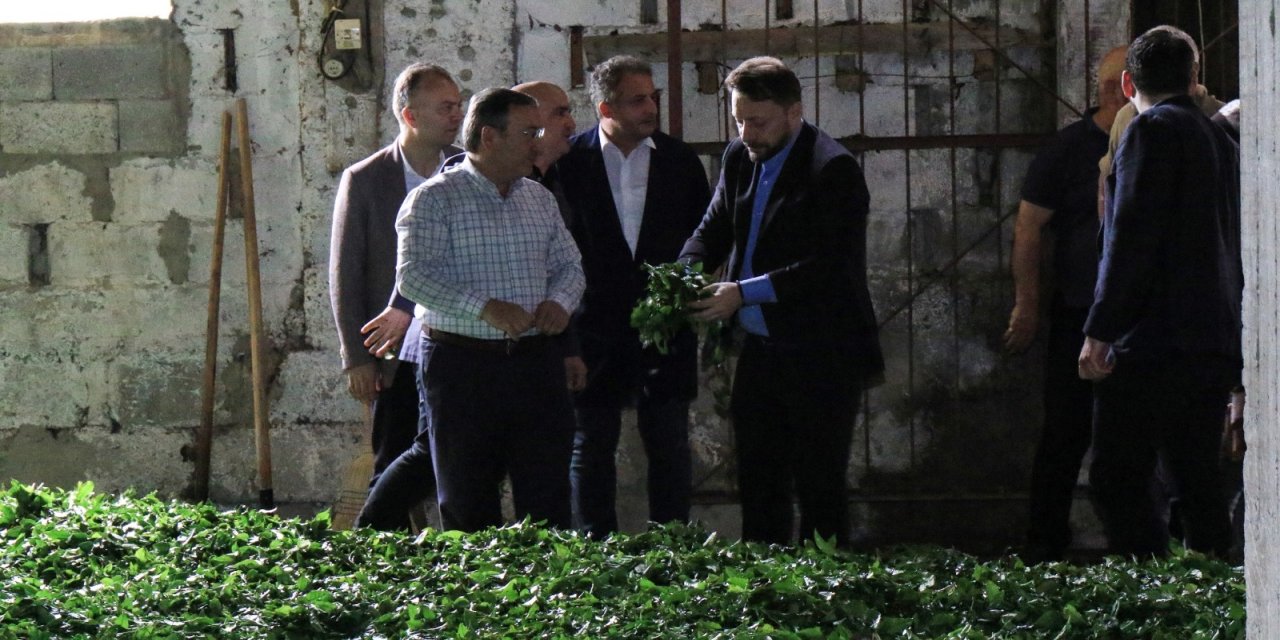 Avcı: Bayramdan Önce Mayıs Ayı Çay Parasını Ödeyeceğiz