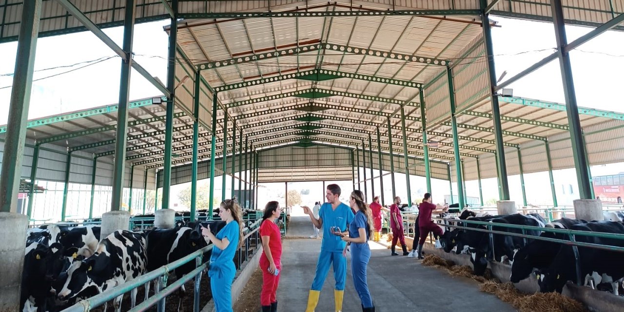 Veteriner Hekimler Kktc’de Buluşacak