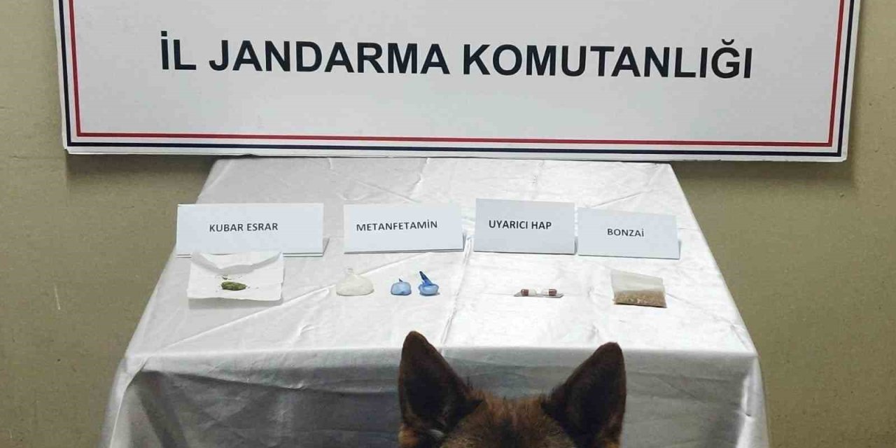 Gümüşhane Jandarmasından Uyuşturucu Operasyonu
